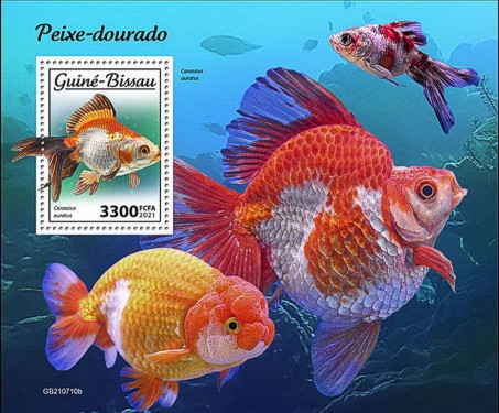 Goldfische  (Carassius auratus) Block Guinea Bissau 2021