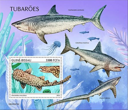 Haie Block Guinea Bissau 2022 mit einem Teppichhai (Orectolobus maculatus)