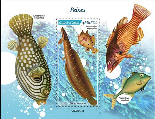 Fische Block 2022 mit einem Raubwels (Clarias teijsmanni) und einem Anglerfisch (Antennarius oligosporus)