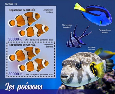 Block Fische Naturkunde Guinea 2020 mit Falschen Clownfischen (Amphiprion ocellaris)