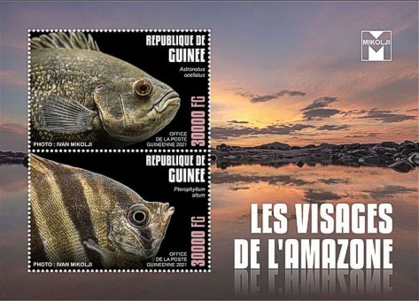 Block Fische des Amazonas Guinea 2021
