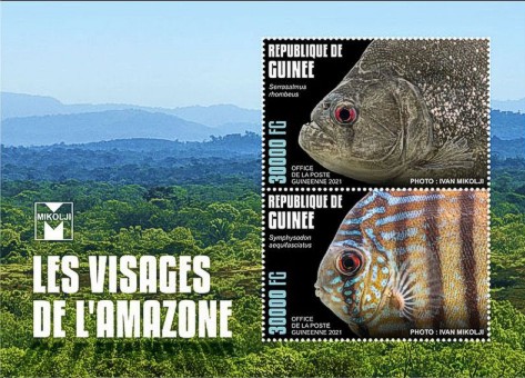Block Fische des Amazonas Guinea 2021