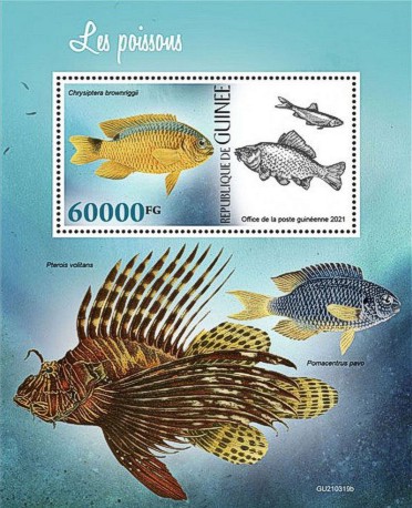 Block Tropische Fische Guinea 2021 mit einer Wellen-Demoiselle (Chrysiptera brownriggii)