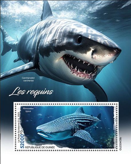 Block Haie Guinea 2023 mit einm Walhai (Rhincodon typus)