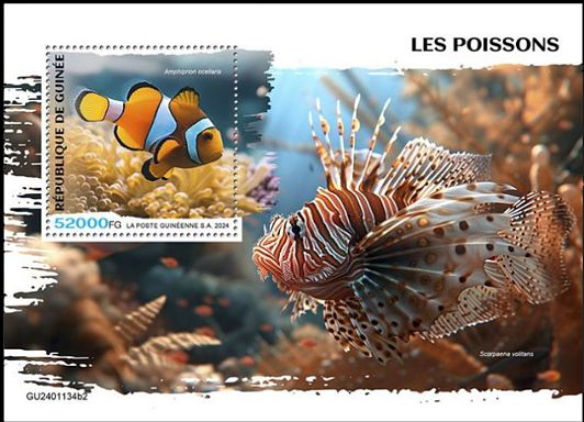 Block Fische Guinea 2024 mit einem Falschen Clownfisch (Amphiprion ocellaris)