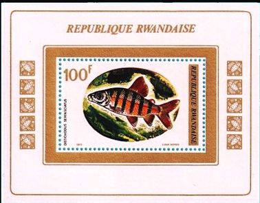 Ruanda 1973 Fischblock