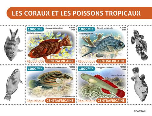 Zentralafrikanische Republik 2022 Tropische Fische Kleinbogen