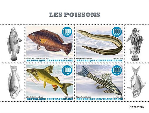 Zentralafrikanische Republik 2022 Fische Kleinbogen
