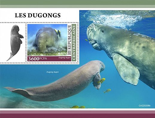 Zentralafrikanische Republik 2022 Dugongs Block