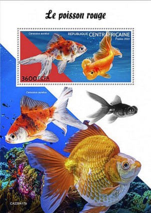 Zentralafrikanische Republik 2022 Goldfische Block