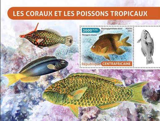 Zentralafrikanische Republik 2022 Tropische Fische Block mit einem Schwarzrand-Teufel (Plectroglyphidodon dickii)