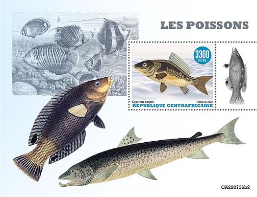 Zentralafrikanische Republik 2022 Block mit einem Karpfen (Cyprinus carpio)
