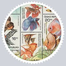 Runde Briefmarke mitte