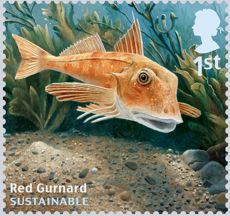 Briefmarke mit einem Seekuckuck