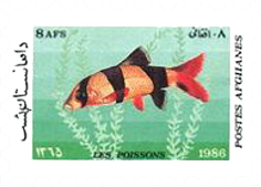 Fish-on-Stamps-Afghanistan-1986