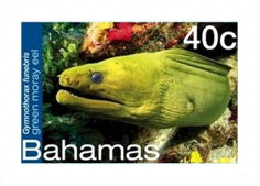 Fish-on-Stamps-Bahamas-2012