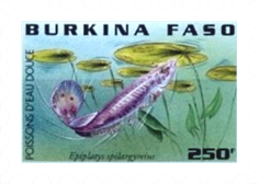 Fish-on-Stamps-Burkina-Faso-1997
