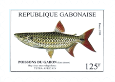 Fish-on-Stamps-Gabon-1999