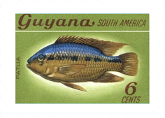 Fish-on-Stamps-Guyana-1968