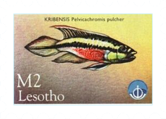 Fish-on-Stamps-Lesotho-1998