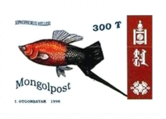 Fish-on-Stamps-Mongolia-1998