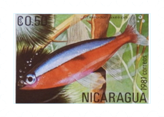 Fish-on-Stamps-Nicaragua-1981