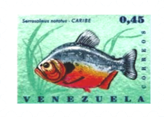 Fish-on-Stamps-Venezuela-1966