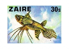 Fish-on-Stamps-Zaire-1978